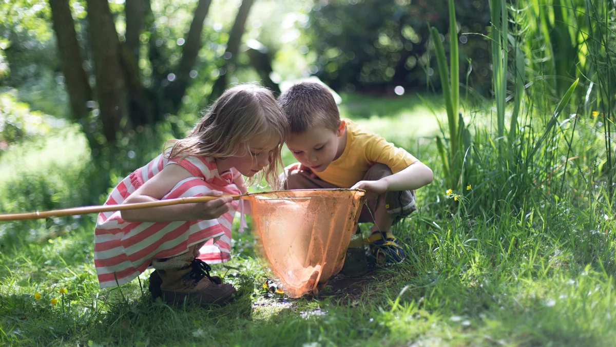 Encouraging Children's Curiosity for Lifelong Learning and Well-being