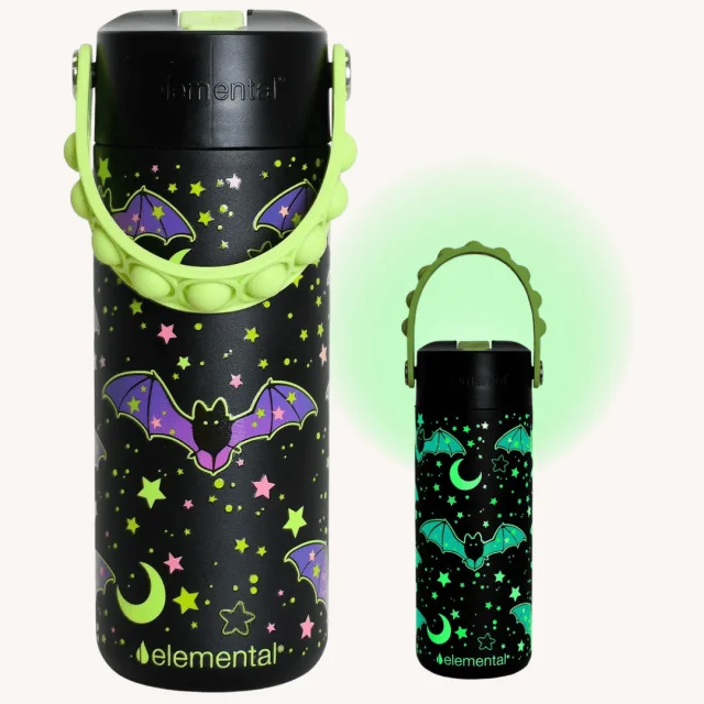 Boo Basket Elemental Core 18oz Insulated Kids Water Bottle Straw Lid & Pop It Handle