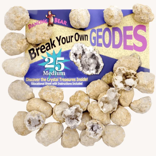 Birthday party favors for kids Break Your Own Geodes