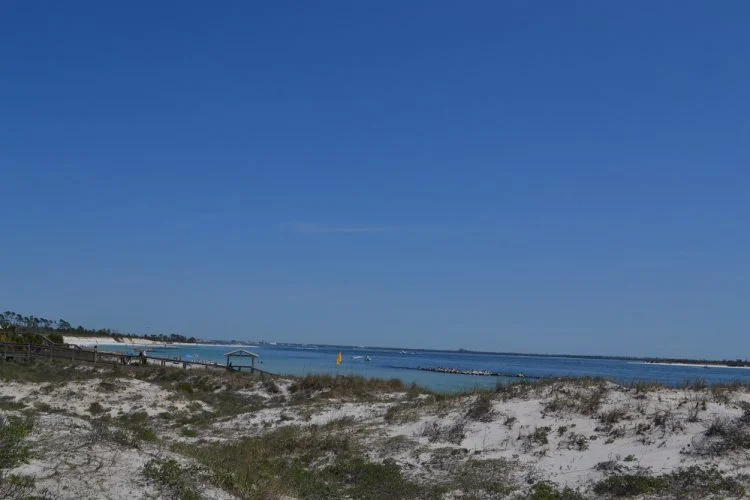 Dunes at St. Andrews Park, Things to Do in Panama City Beach, Florida