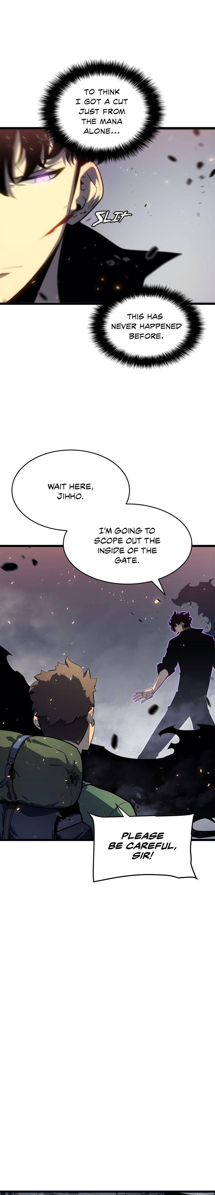 solo leveling (11)