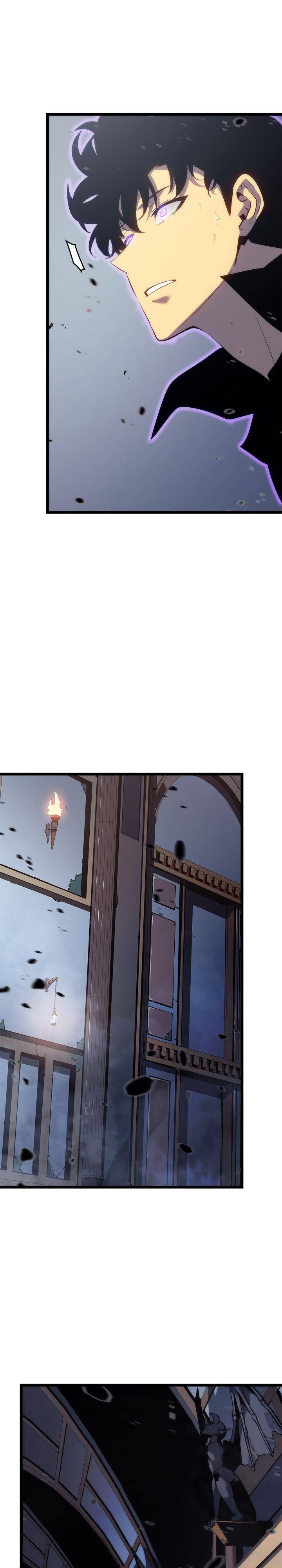 solo leveling (13)