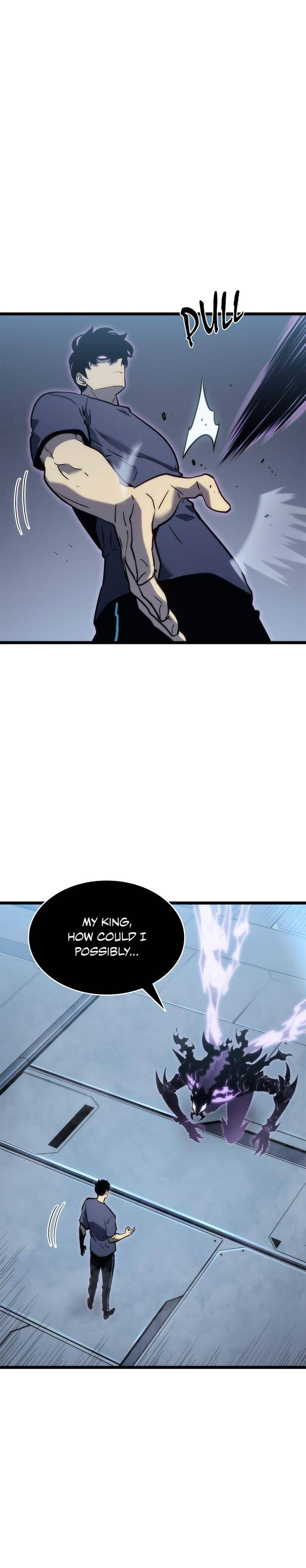 solo leveling (19)