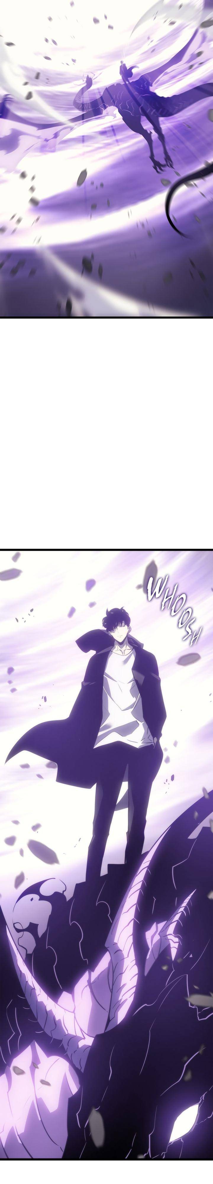 solo leveling (6)