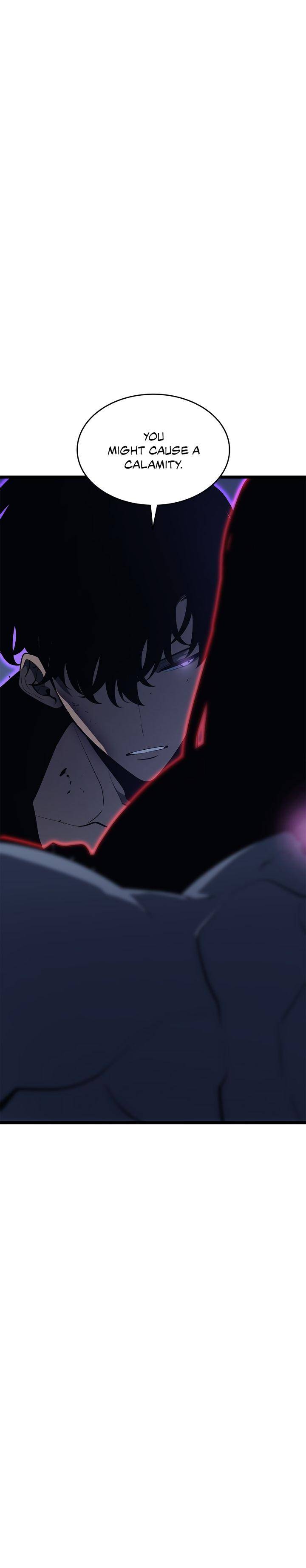 solo leveling anime (25)